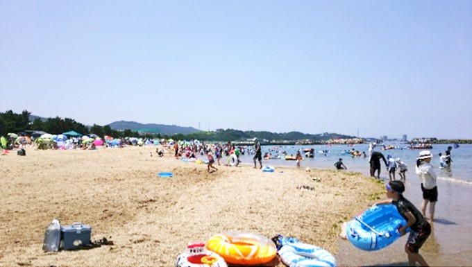 写真