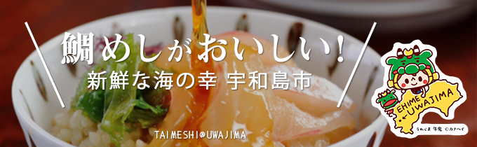 愛媛県宇和島市の愛媛県宇和島市 鯛めしがおいしい 新鮮な海の幸 ふるさと納税 ふるさとチョイス