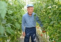 トマトの生産者の船橋哲夫さん