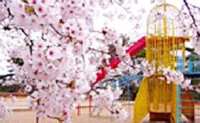 おすすめ!お花見スポット