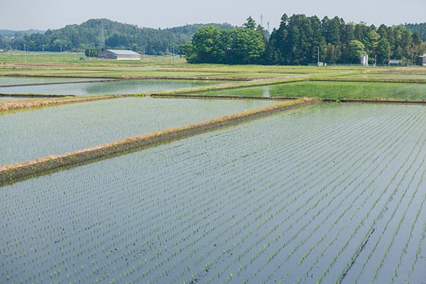 日本三大開拓地「矢吹町」