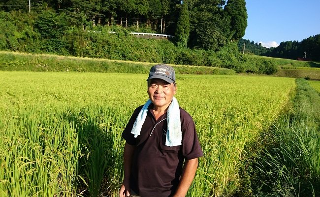 冷めても美味しいお米として人気のミルキークイーンです!