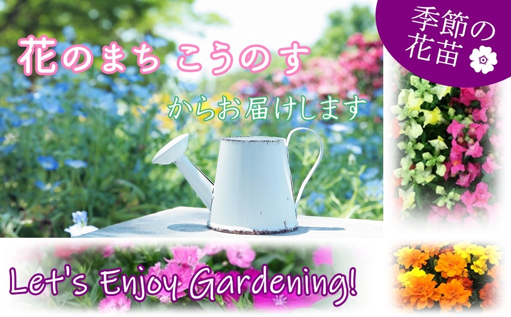 埼玉県鴻巣市の 花のまち こうのす から季節の花苗をお届けします ふるさと納税 ふるさとチョイス