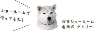 来て! 見て! さわって! カザマのショールームへ!