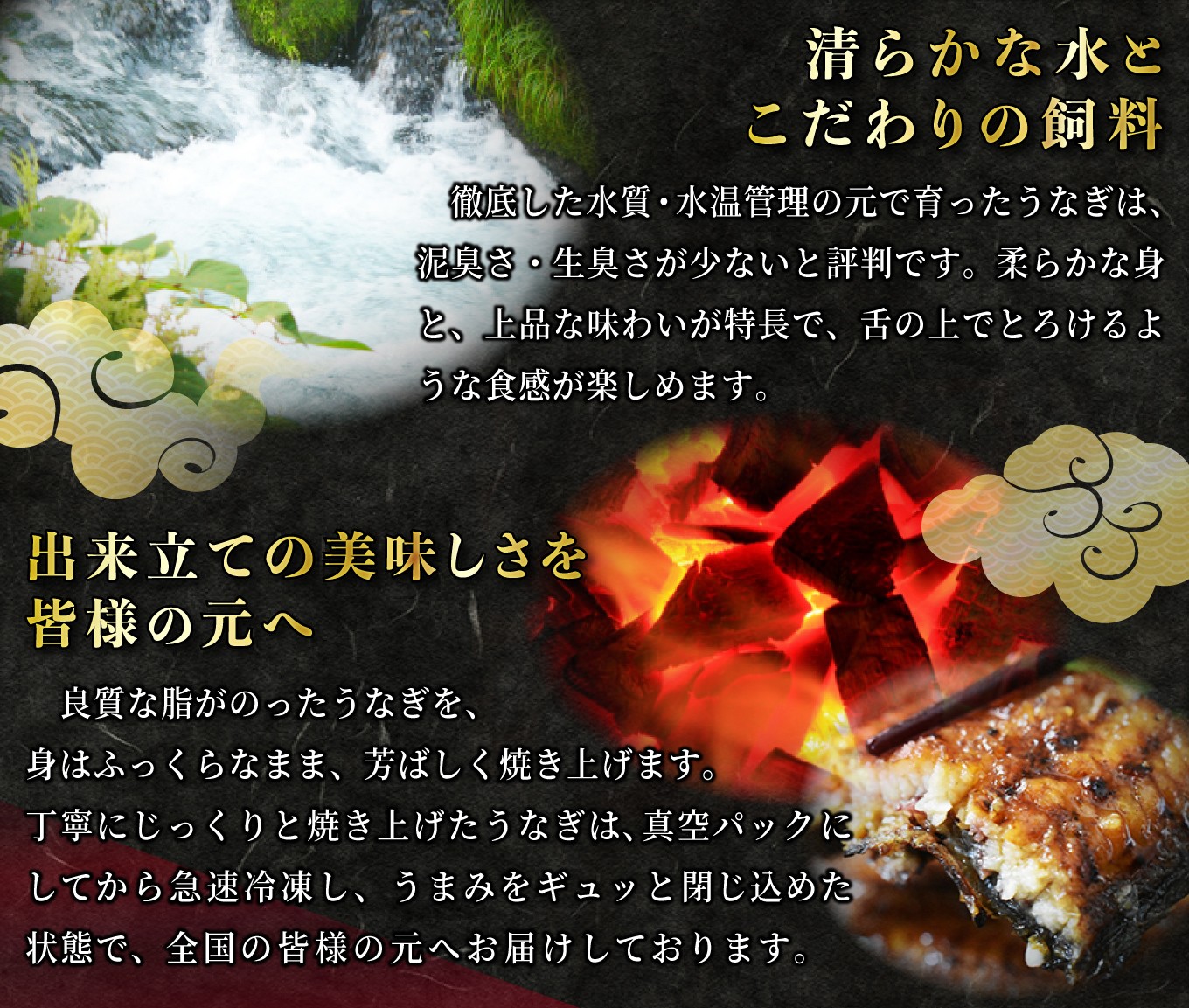 鹿児島県鹿屋市の うなぎの養殖日本一 鹿児島県産うなぎ特集 ふるさと納税 ふるさとチョイス