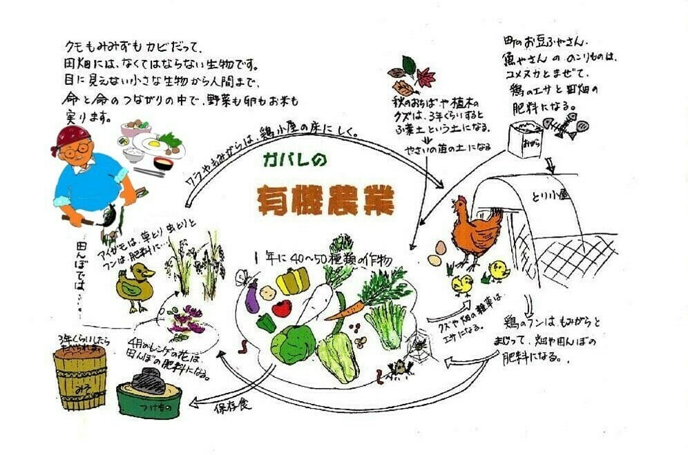 埼玉県鴻巣市の子どもたちに食べてほしい ガバレ農場 の野菜とお米 ふるさと納税 ふるさとチョイス