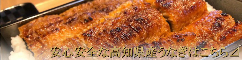 高知県須崎市の四国、高知で生産されたうなぎの蒲焼き特集｜ふるさとチョイス - ふるさと納税サイト