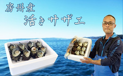 若だんな軍団の頼れるリーダー♥「アサダ水産3代目」浅田さん