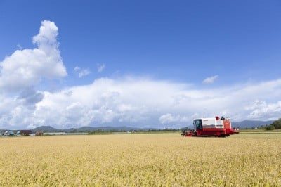 北海道当麻町の北海道米ランキング１２年連続最高ランク獲得 籾貯蔵 今摺米 いまずりまい ふるさと納税 ふるさとチョイス