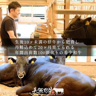 三重県熊野市の究極の肉質を追求した希少和牛 美熊野牛 ふるさと納税 ふるさとチョイス