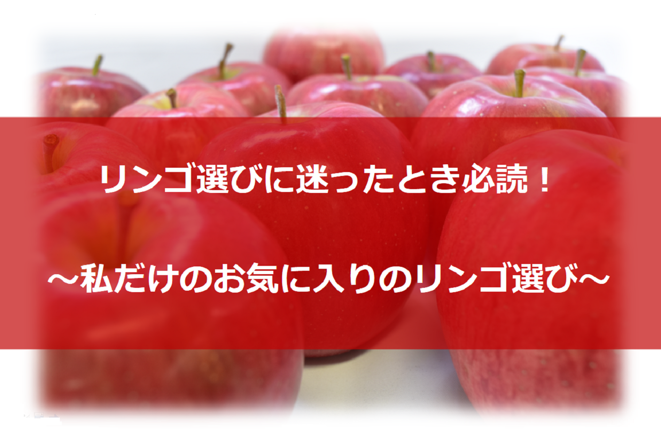 青森県五所川原市のリンゴ選びに迷ったとき必読 私だけのお気に入りのリンゴ選び ふるさと納税 ふるさとチョイス