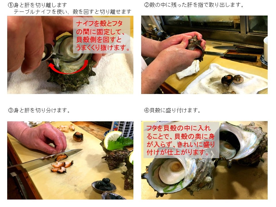 千葉県南房総市のサザエの漁期解禁 南房総の魚介特集 ふるさと納税 ふるさとチョイス