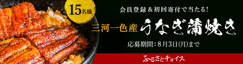 会員登録 初回寄付で当たる 三河一色産うなぎ蒲焼き プレゼントキャンペーン ふるさと納税 ふるさとチョイス