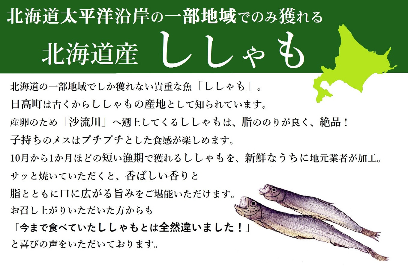 北海道日高町の日高町の ししゃも をふるさと納税で味わおう ふるさと納税 ふるさとチョイス