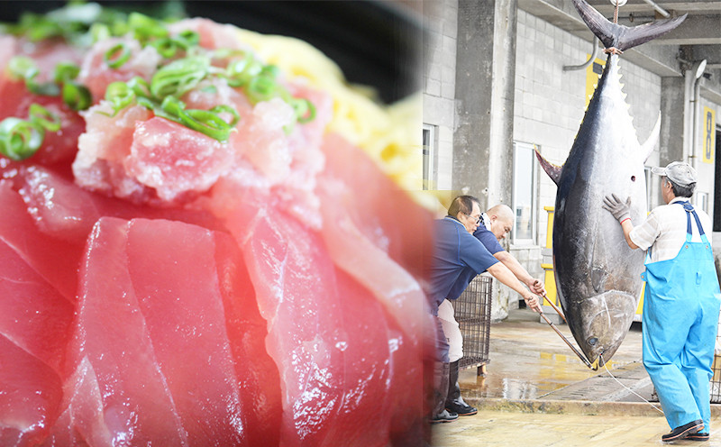 沖縄県糸満市の漁獲量が全国トップクラス 生鮮マグロ ふるさと納税 ふるさとチョイス