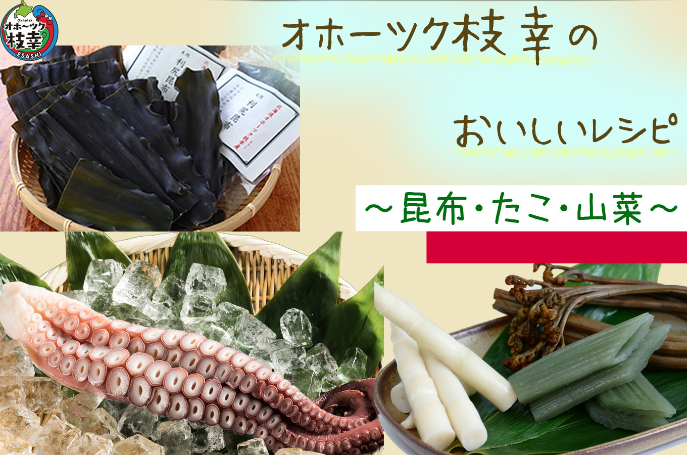 北海道枝幸町のオホーツク枝幸のおいしいレシピ 昆布 たこ 山菜 ふるさと納税 ふるさとチョイス