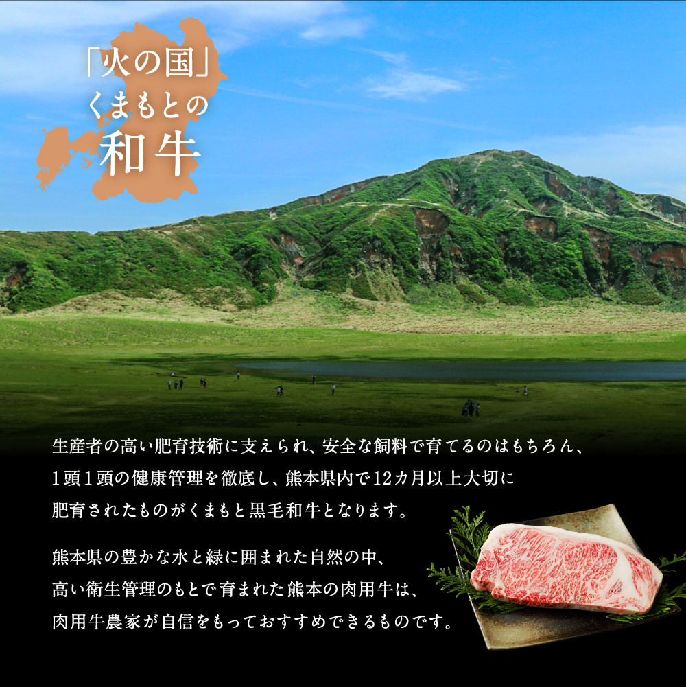 熊本県宇城市の安全 安心で美味しい 火の国 くまもとの和牛 是非ご賞味ください ふるさと納税 ふるさとチョイス