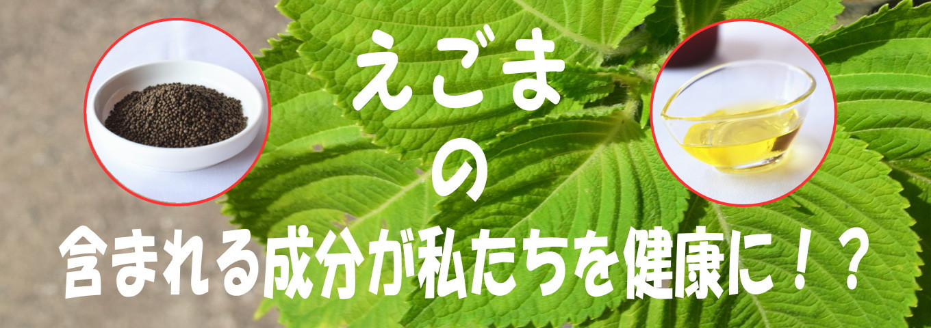 島根県川本町の食べて健康に 知って得するえごま特集 ふるさと納税 ふるさとチョイス