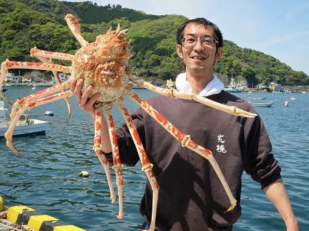 静岡県沼津市の駿河湾を代表する世界最大級の高足ガニ ふるさと納税 ふるさとチョイス