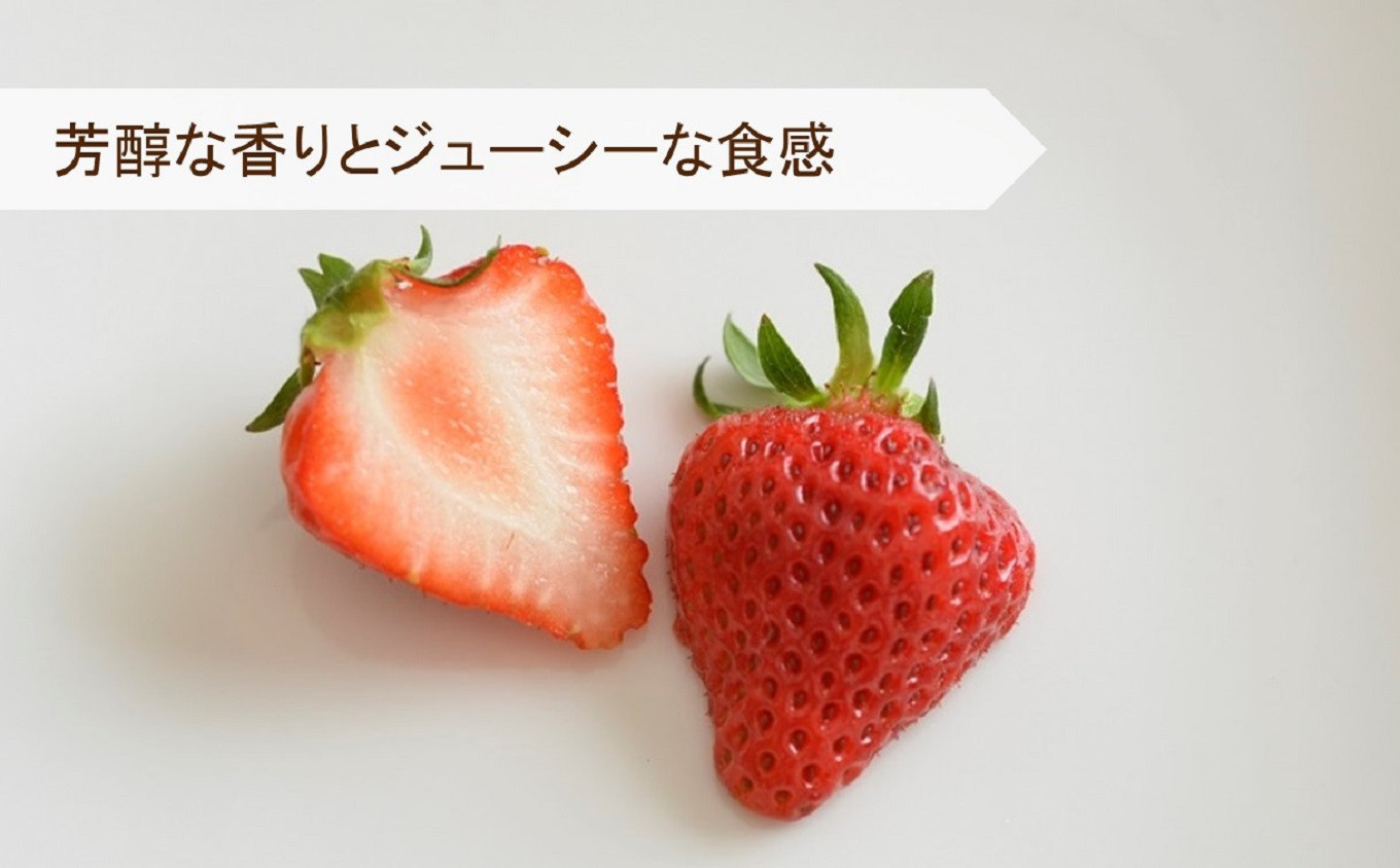 新潟県柏崎市の新潟ブランド苺 越後姫 ふるさと納税 ふるさとチョイス