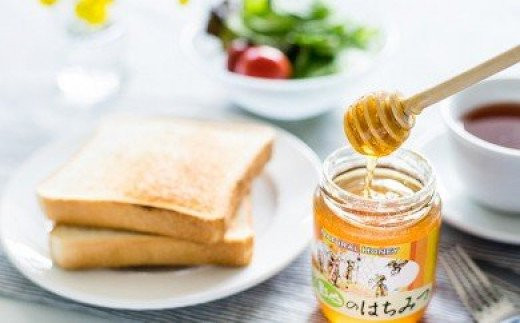 徳島県阿波市の貴重な 天然 影山のはちみつはいかがですか ふるさと納税 ふるさとチョイス