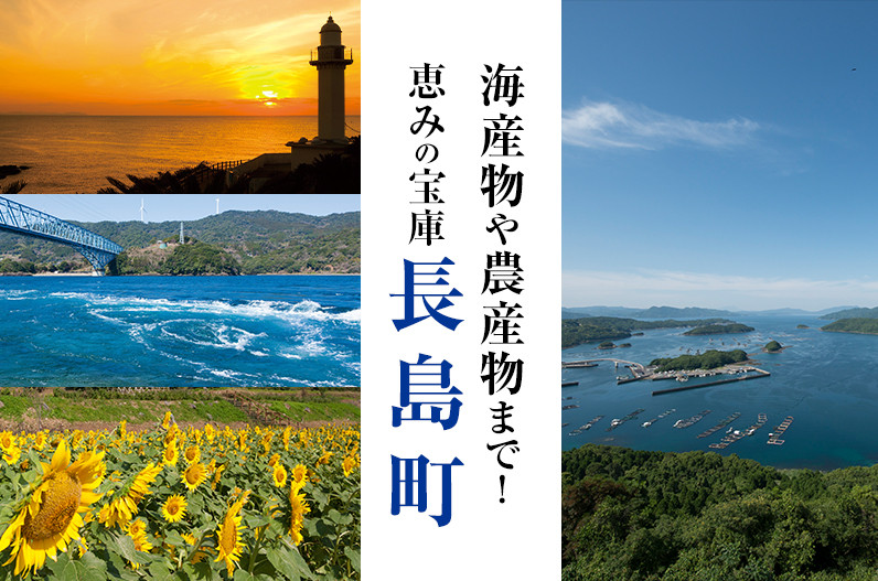 鹿児島県長島町の世界に認められた 日本一の養殖ブリの産地 長島町 ふるさと納税 ふるさとチョイス