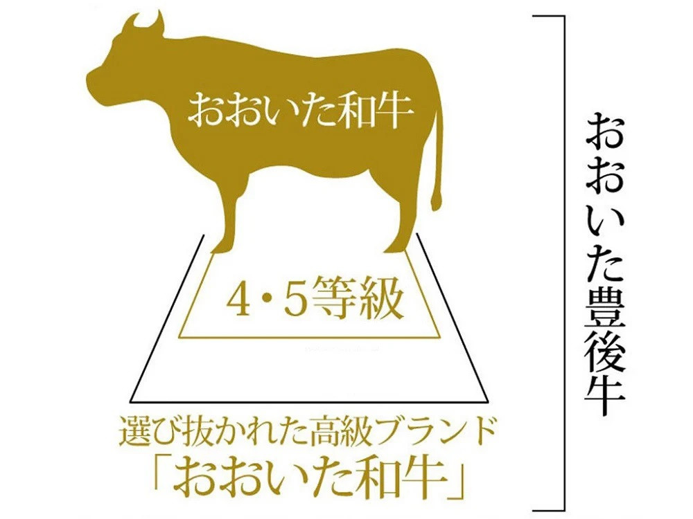大分県豊後高田市の最高級の肉質 おおいた和牛 ふるさと納税 ふるさとチョイス