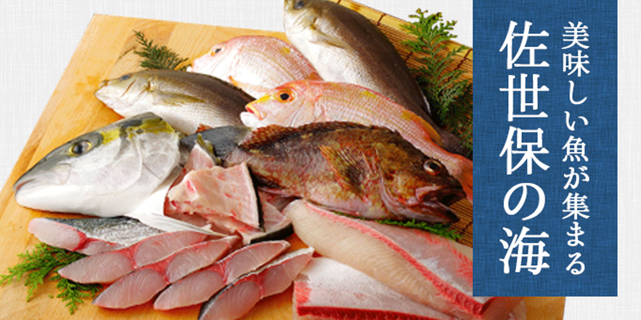 長崎県佐世保市の美味しい魚が集まる佐世保の海 ふるさと納税 ふるさとチョイス
