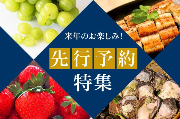 宮崎県延岡市の初めての方でも安心！寄附額10,000円程度の返礼品特集！｜ふるさとチョイス - ふるさと納税サイト