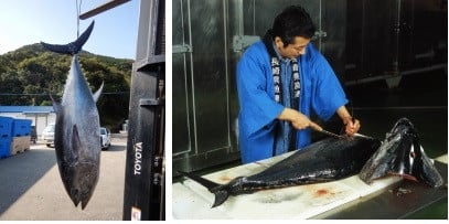 長崎県の長崎県は漁獲量全国2位 魚種は全国1位と全国に誇れる お魚県 長崎県をふるさと納税で応援して 美味しいお魚を堪能してください ふるさと納税 ふるさとチョイス