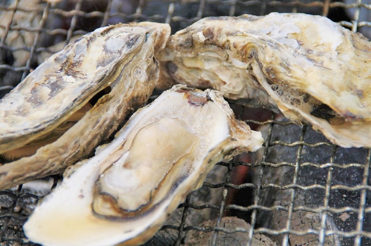 糸島カキ ふるさと納税 ふるさとチョイス