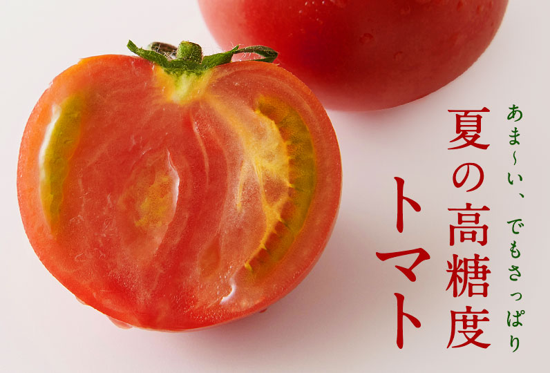 夏の高糖度トマトは甘すぎず、後口がさっぱり。食欲が落ちやすい今の時期も食べやすくておすすめです。お礼の品掲載数No.1のふるさとチョイスから、今回は日本各地の高糖度トマトをご紹介します。