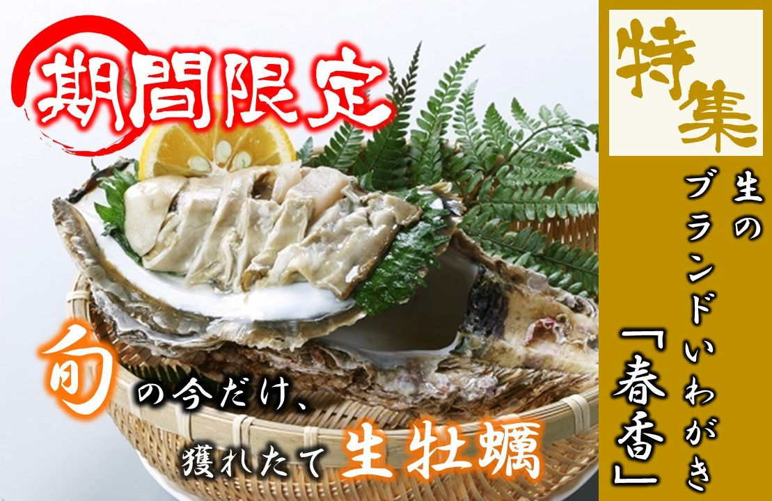 島根県海士町の 期間限定 獲れたて生牡蠣 世界品質の島育ちブランドいわがき 春香 特集 ふるさと納税 ふるさとチョイス