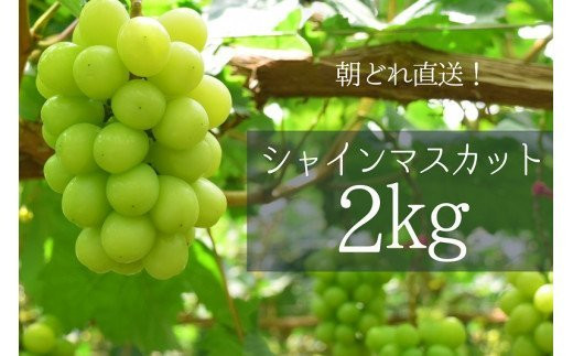 山梨県甲斐市
