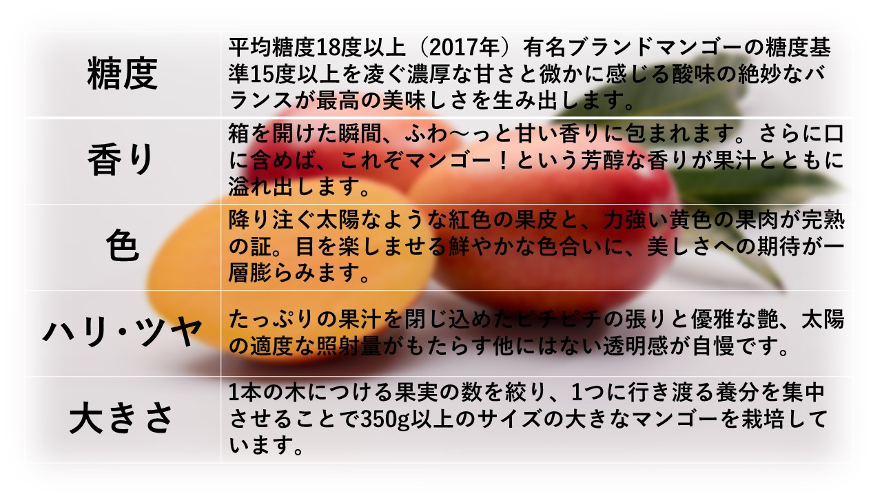 休日 愛知県産 シャインマスカット 約2kg箱 配送不可地域 