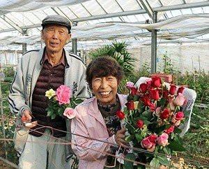 埼玉県白岡市の有機栽培で育った朝切りのバラの花束です バラ栽培５０年以上のベテラン生産者の農園から直送いたします ふるさと納税 ふるさとチョイス