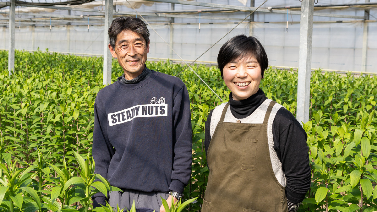 香り豊かなユリの花 ふるさと納税 ふるさとチョイス