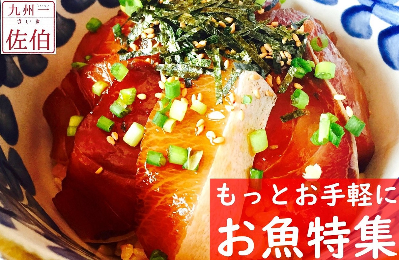 ひもの 干物 魚 ふるさと納税 ふるさとチョイス