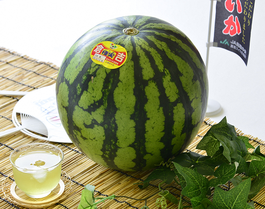 「極実スイカ」生産の秘密