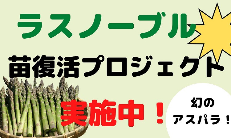 北海道美瑛町の 幻のアスパラ ラスノーブル 苗復活プロジェクト Gcf実施中 ふるさと納税 ふるさとチョイス