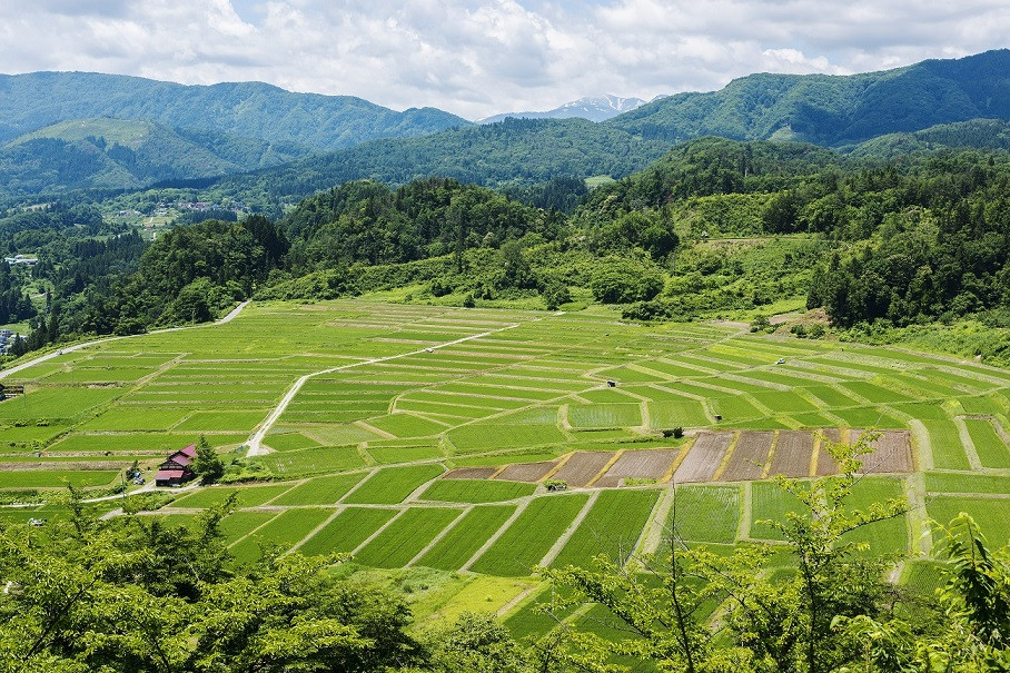 【寄付金の使い道】