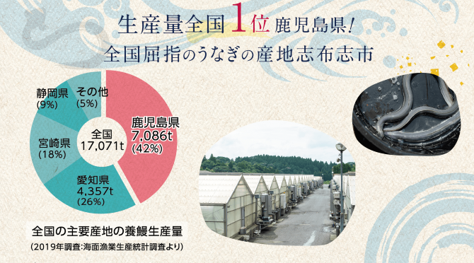 鹿児島県志布志市の【2021年最新版】志布志市の鰻 部門別人気 