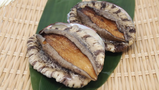 兵庫県洲本市の島の恵みがもたらす 淡路島産 天然 活 あわびの魅力 ふるさと納税 ふるさとチョイス