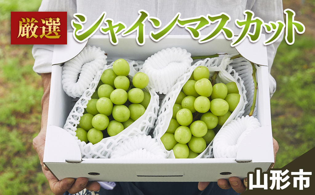 山形県山形市の皮ごとパクッ シャインマスカットで幸せ気分 ふるさと納税 ふるさとチョイス