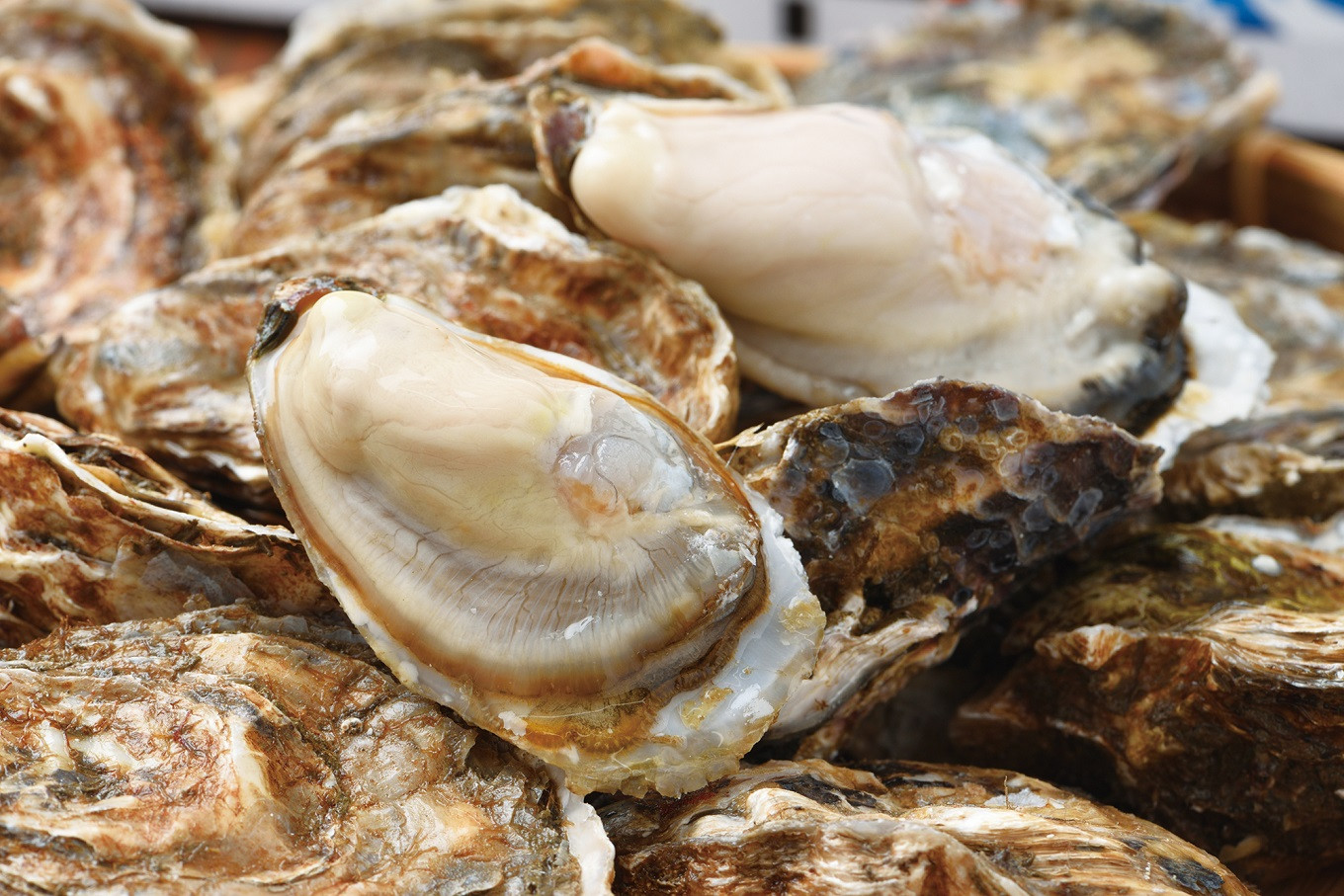 北海道厚岸町の夏季の牡蠣 ふるさと納税 ふるさとチョイス