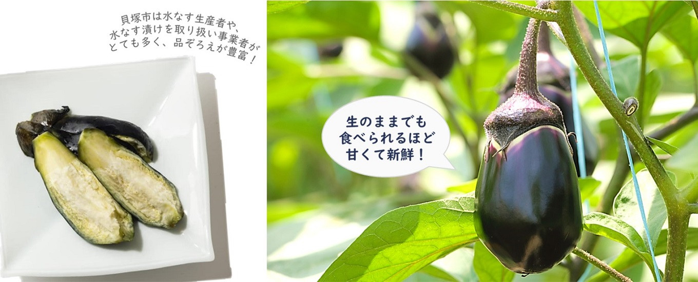 生産者の愛があふれる なすび界の王様 水なす ふるさと納税 ふるさとチョイス