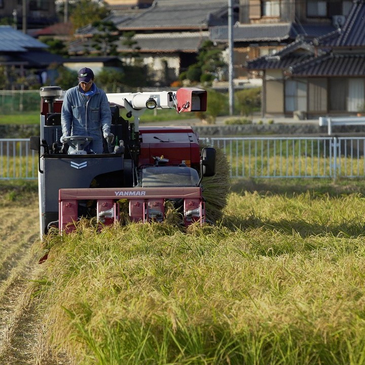 最良の原料を求めて、山田錦の名産地西脇市に蔵人が移り住み、自らお米を育てる
