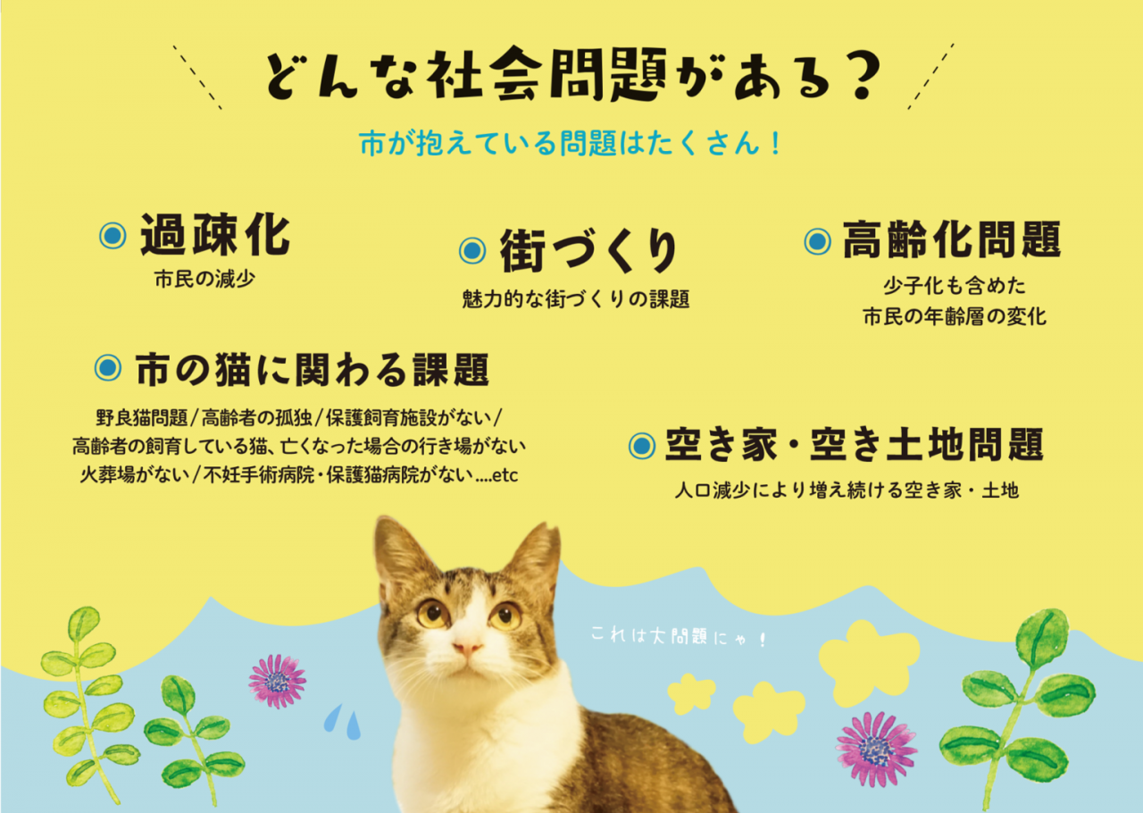 ふるさと納税で応援 飛騨市の地域課題を猫を通じて解決し 猫の殺処分も減らす ふるさと納税 ふるさとチョイス