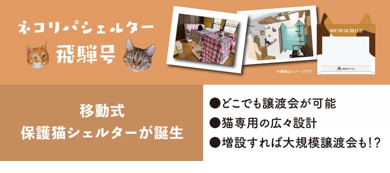 ふるさと納税で応援！】飛騨市の地域課題を猫を通じて解決し、猫の殺 