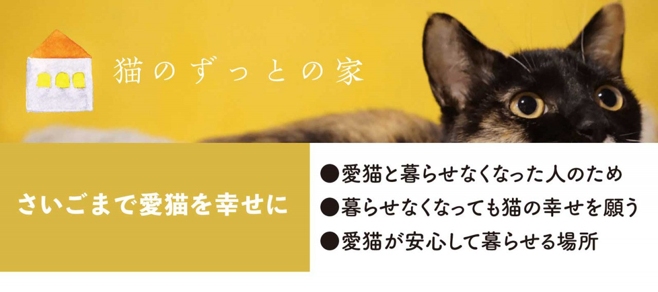 ふるさと納税で応援 飛騨市の地域課題を猫を通じて解決し 猫の殺処分も減らす ふるさと納税 ふるさとチョイス